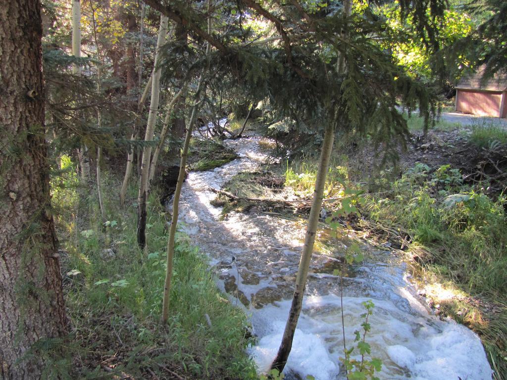 Elk Run Bed And Breakfast Evergreen Εξωτερικό φωτογραφία